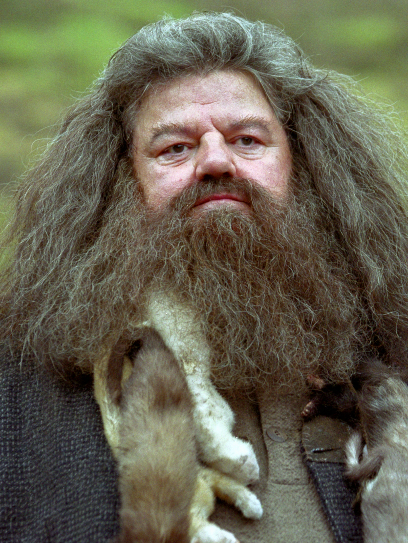Retrato de Rubeus Hagrid
