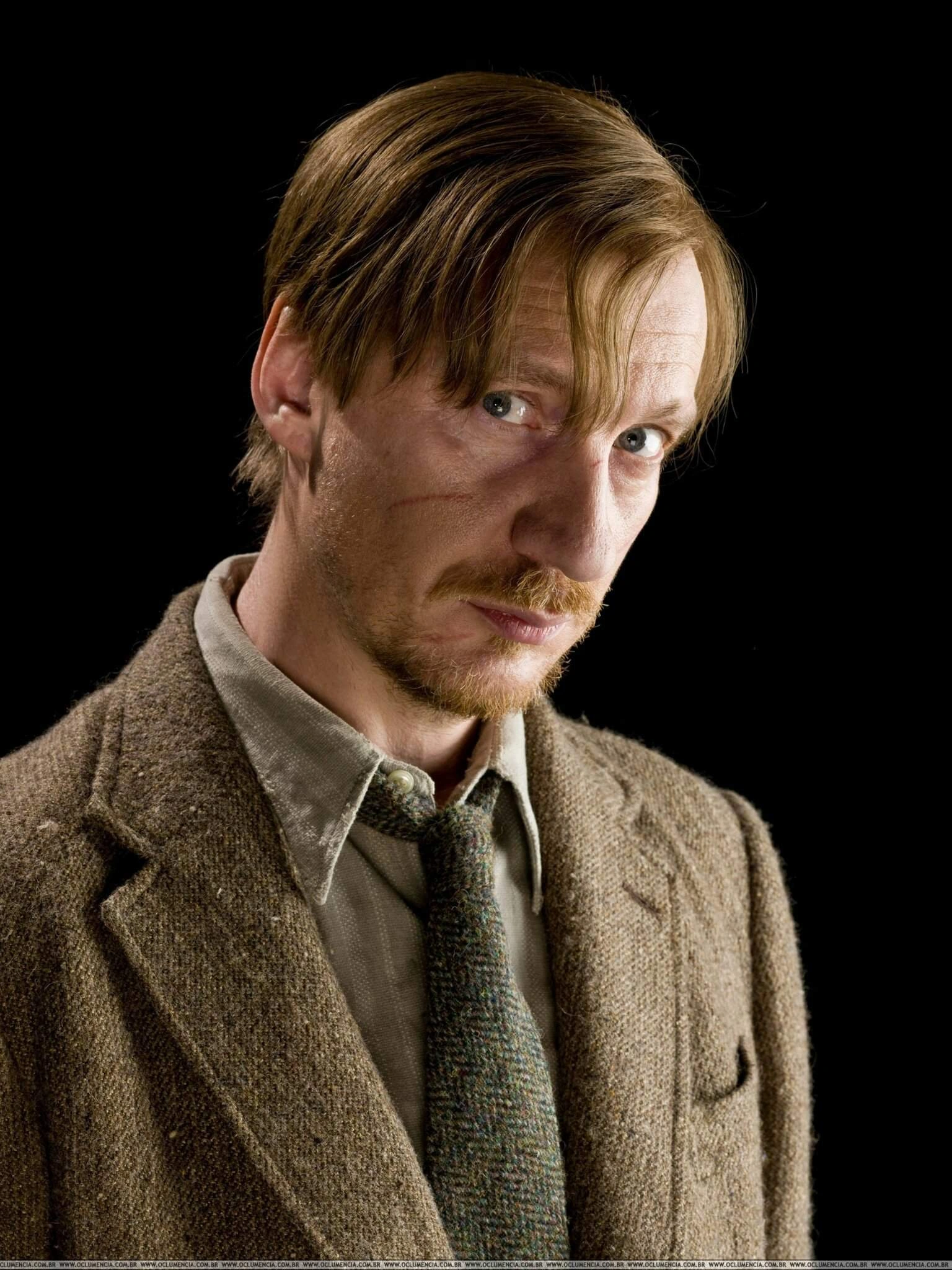 Retrato de Remus Lupin
