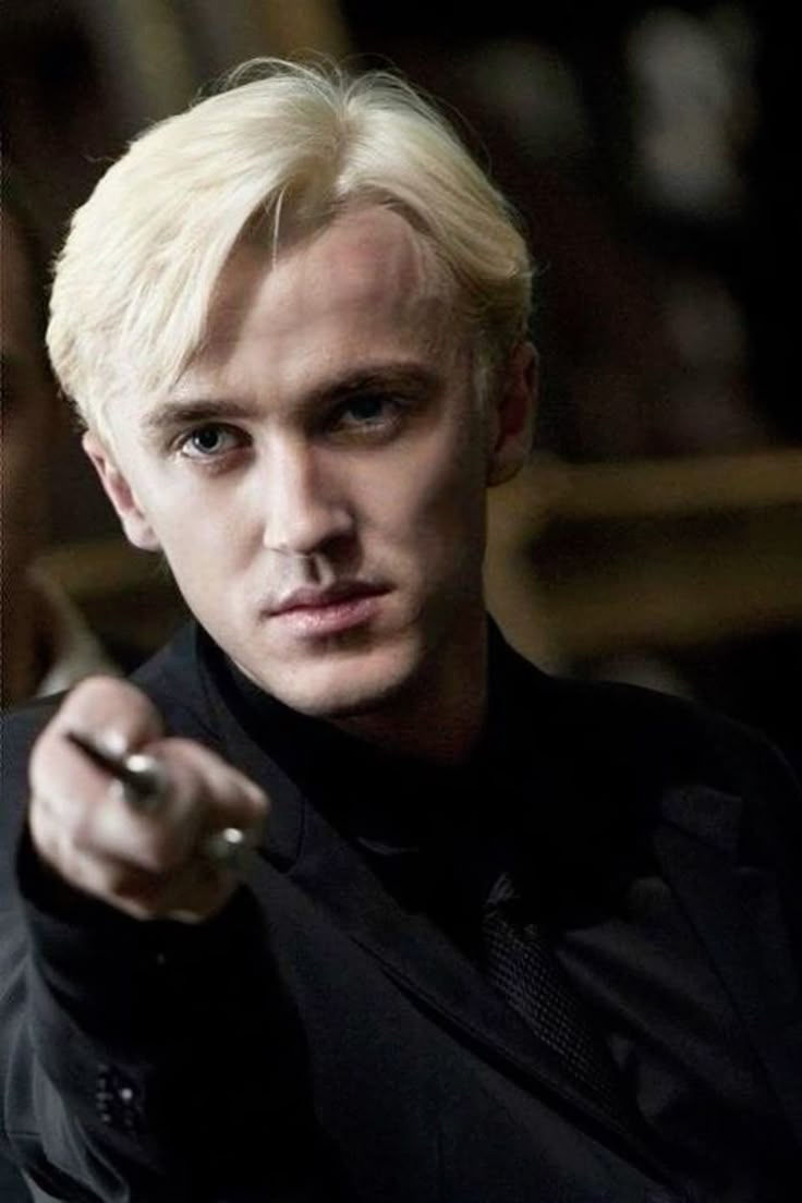 Retrato de Draco Malfoy